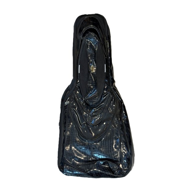 (DEMO) Ritter snakeskin gigbag